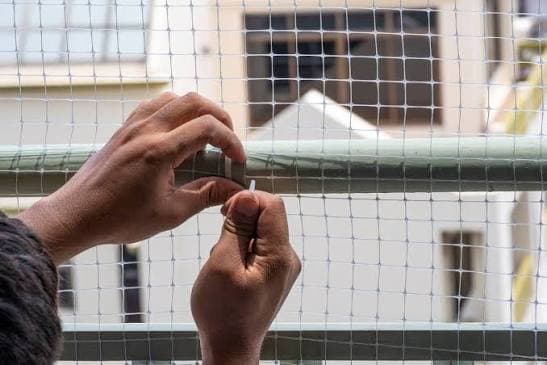 Pigeon net installation in Chennai by Poorna Enterprises