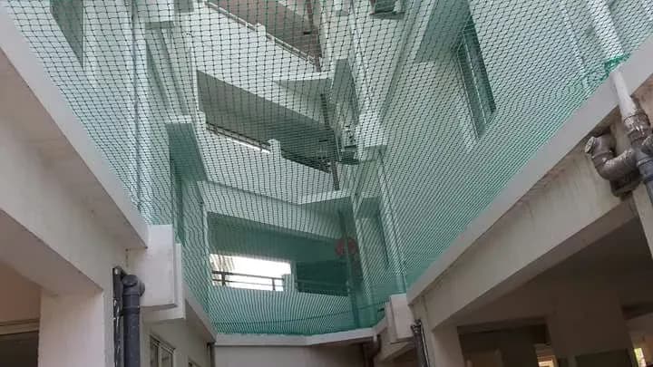 Duct area bird netting Chennai